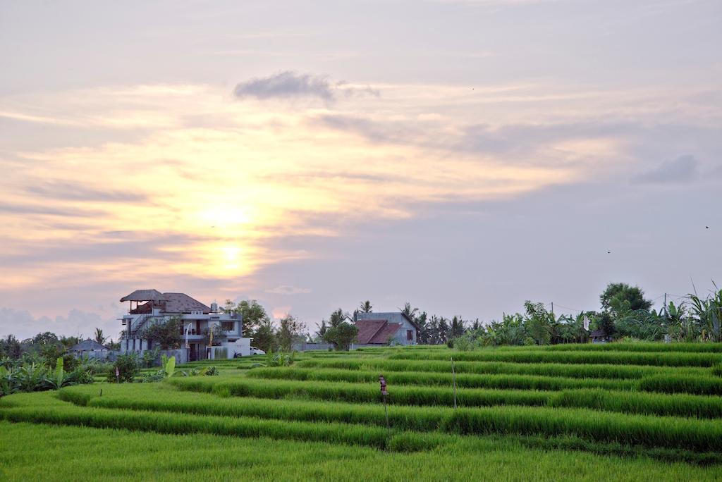 Paddy View Villa Kuta Lombok Zewnętrze zdjęcie