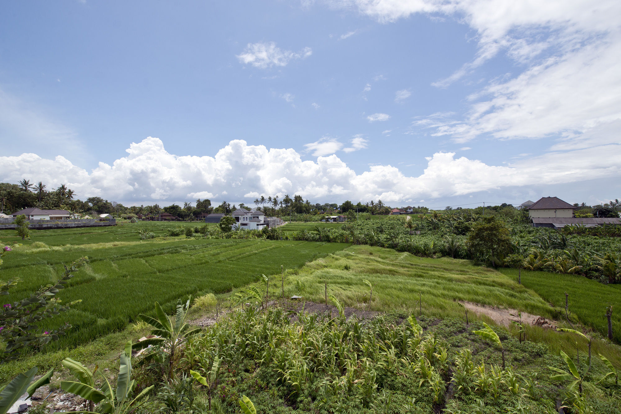Paddy View Villa Kuta Lombok Zewnętrze zdjęcie