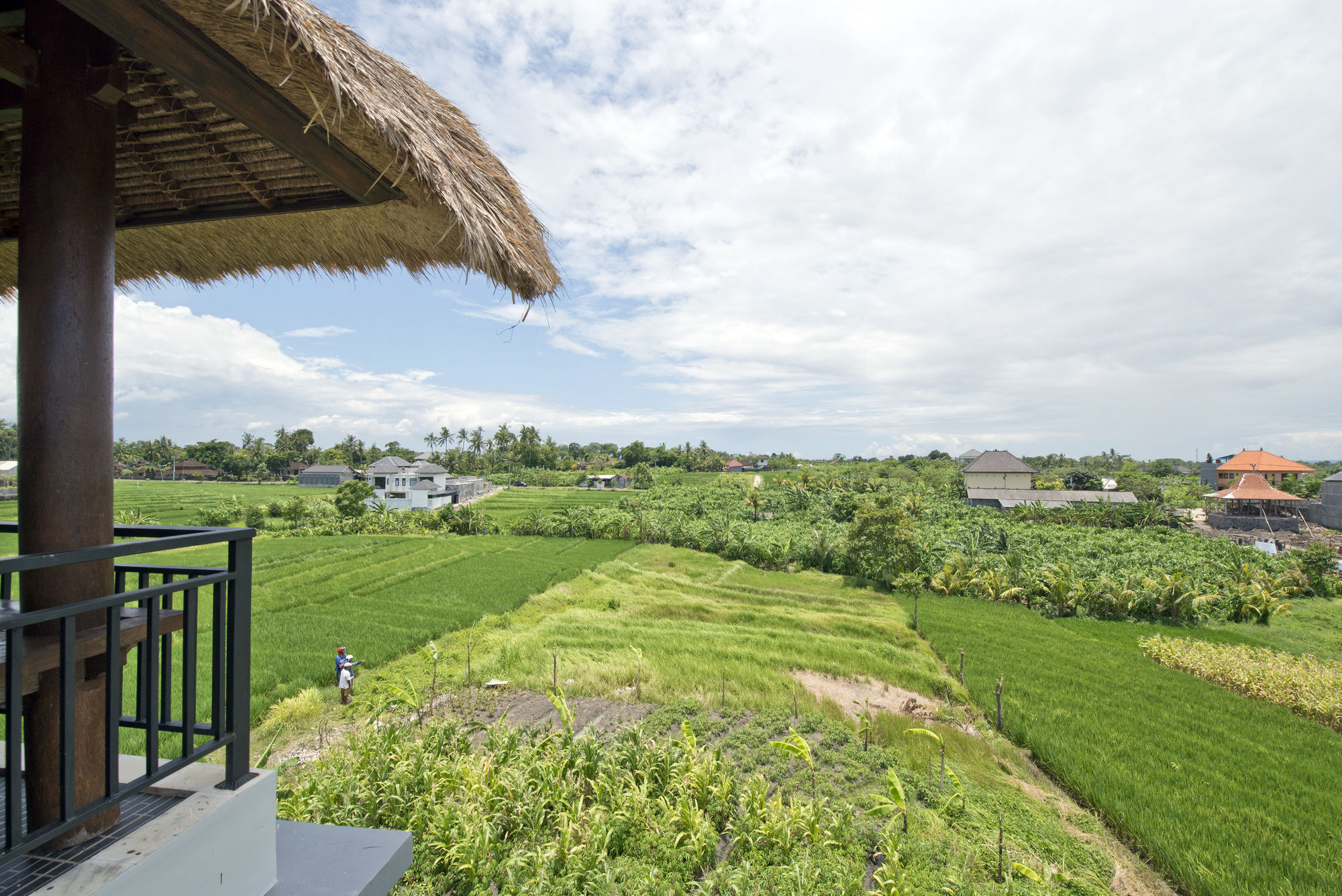 Paddy View Villa Kuta Lombok Zewnętrze zdjęcie